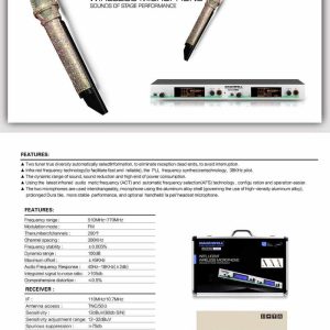 Wireless Mic rockstar 5200 D