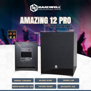 Subwoofer Amazing 12 Pro